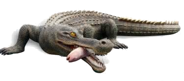 sarcosuchus